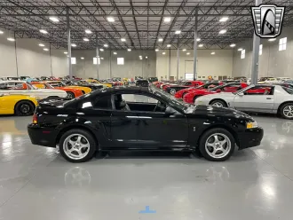 Mustang 5
