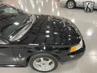Mustang 7