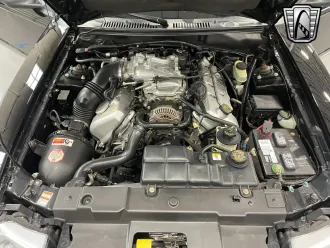 Mustang 11