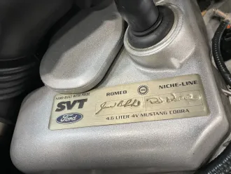 Mustang 15
