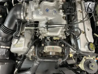 Mustang 16
