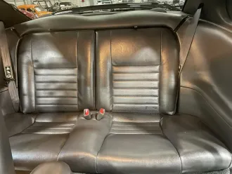 Mustang 23