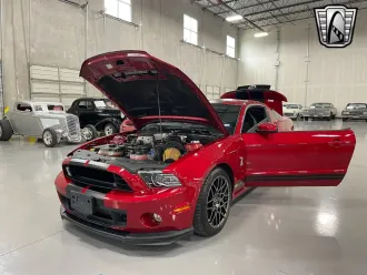 Mustang 8