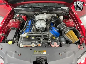 Mustang 12