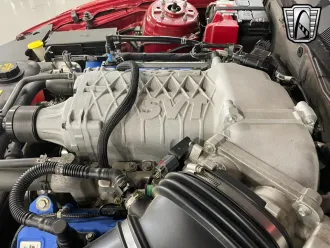 Mustang 17