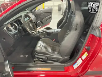 Mustang 19