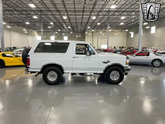 Bronco 5