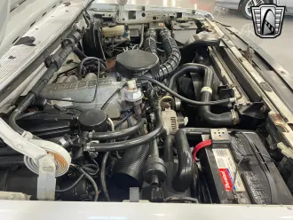 Bronco 11