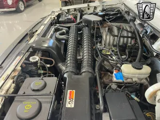 Bronco 13
