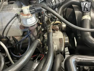 Bronco 15