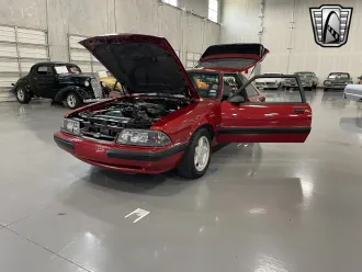Mustang 8