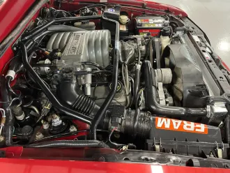 Mustang 11