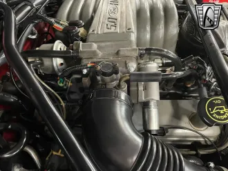 Mustang 14