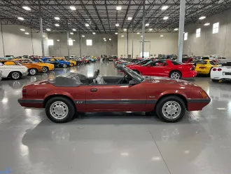 Mustang 5