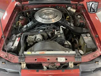 Mustang 11