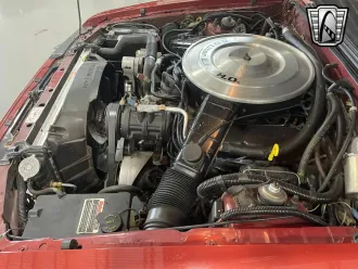 Mustang 12
