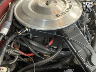 Mustang 13