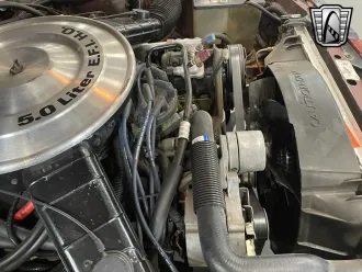 Mustang 14