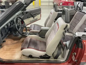 Mustang 17