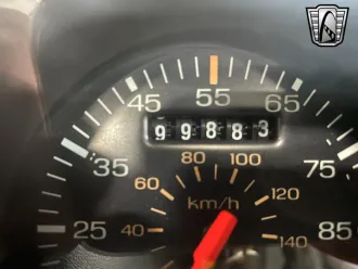 Mustang 18