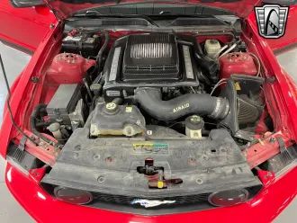 Mustang 12