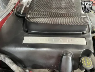 Mustang 14