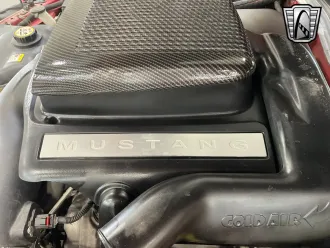Mustang 17