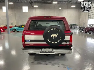 Bronco 4