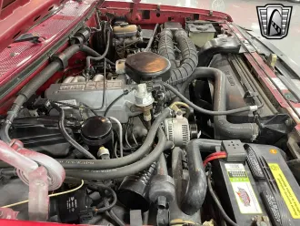 Bronco 11