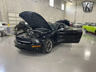 Mustang 6
