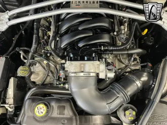 Mustang 15