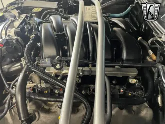 Mustang 16