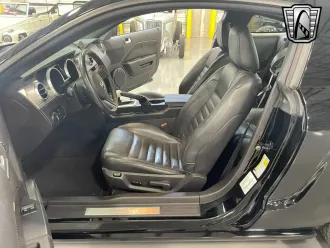 Mustang 18