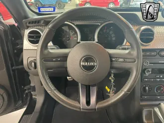 Mustang 19