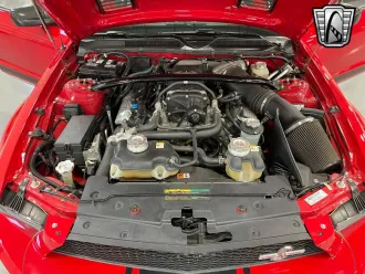 Mustang 11