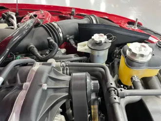 Mustang 14