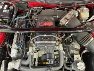 Mustang 15
