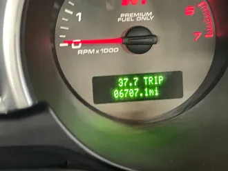 Mustang 19