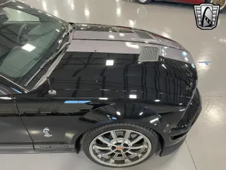 Mustang 7