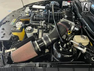 Mustang 13