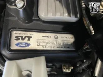 Mustang 17