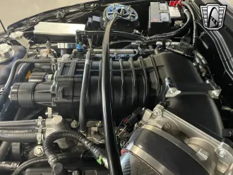 Mustang 18
