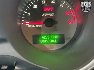 Mustang 21