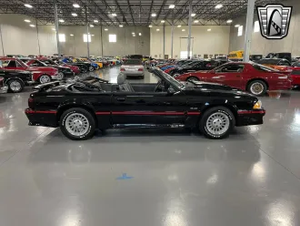 Mustang 5