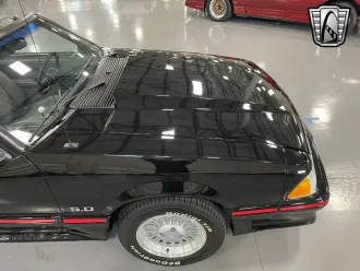 Mustang 7