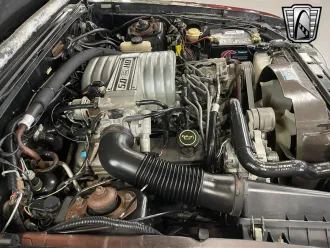Mustang 10