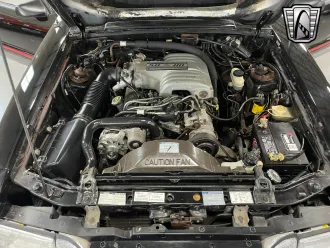 Mustang 11