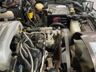 Mustang 14