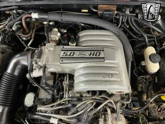 Mustang 15