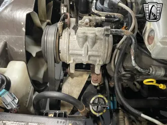 Mustang 17
